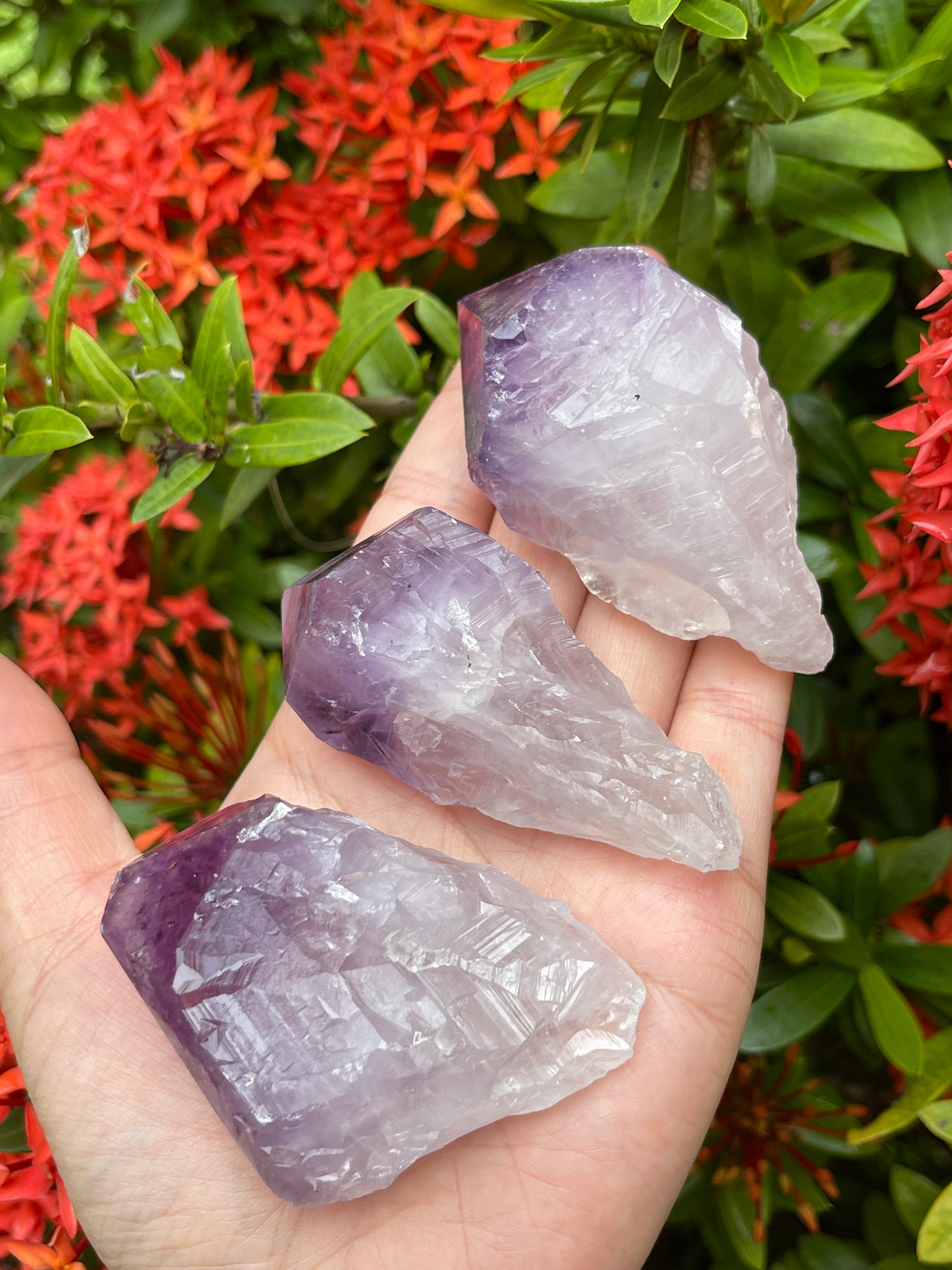 Extra Large Amethyst Rough Points, 2.5 - 3.25" Raw Amethyst Points, Bulk Lot