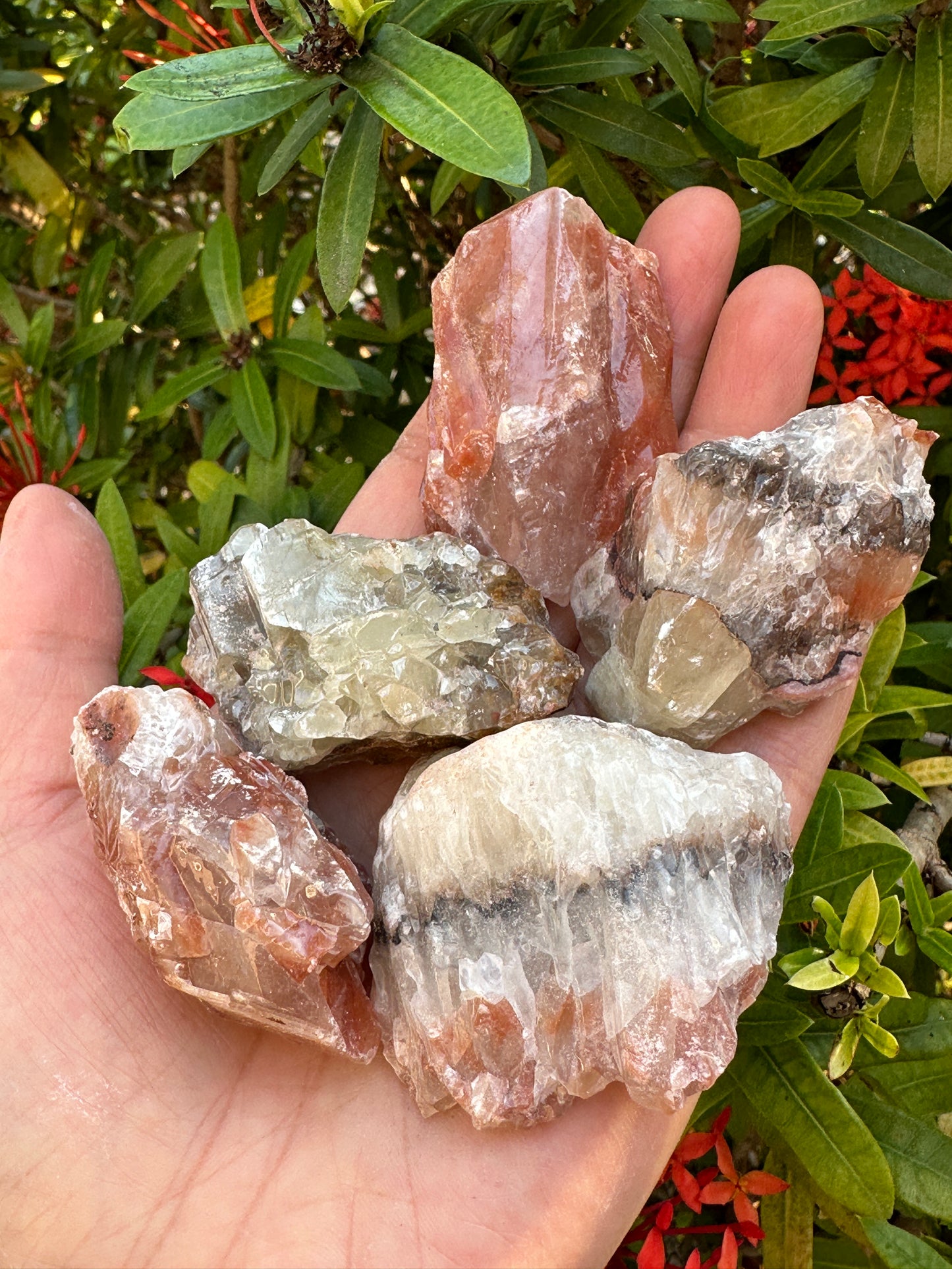 Grade A++ Red/Brown Calcite Rough Natural Stones, 1.5-2.5" Raw Calcite Red/Brown