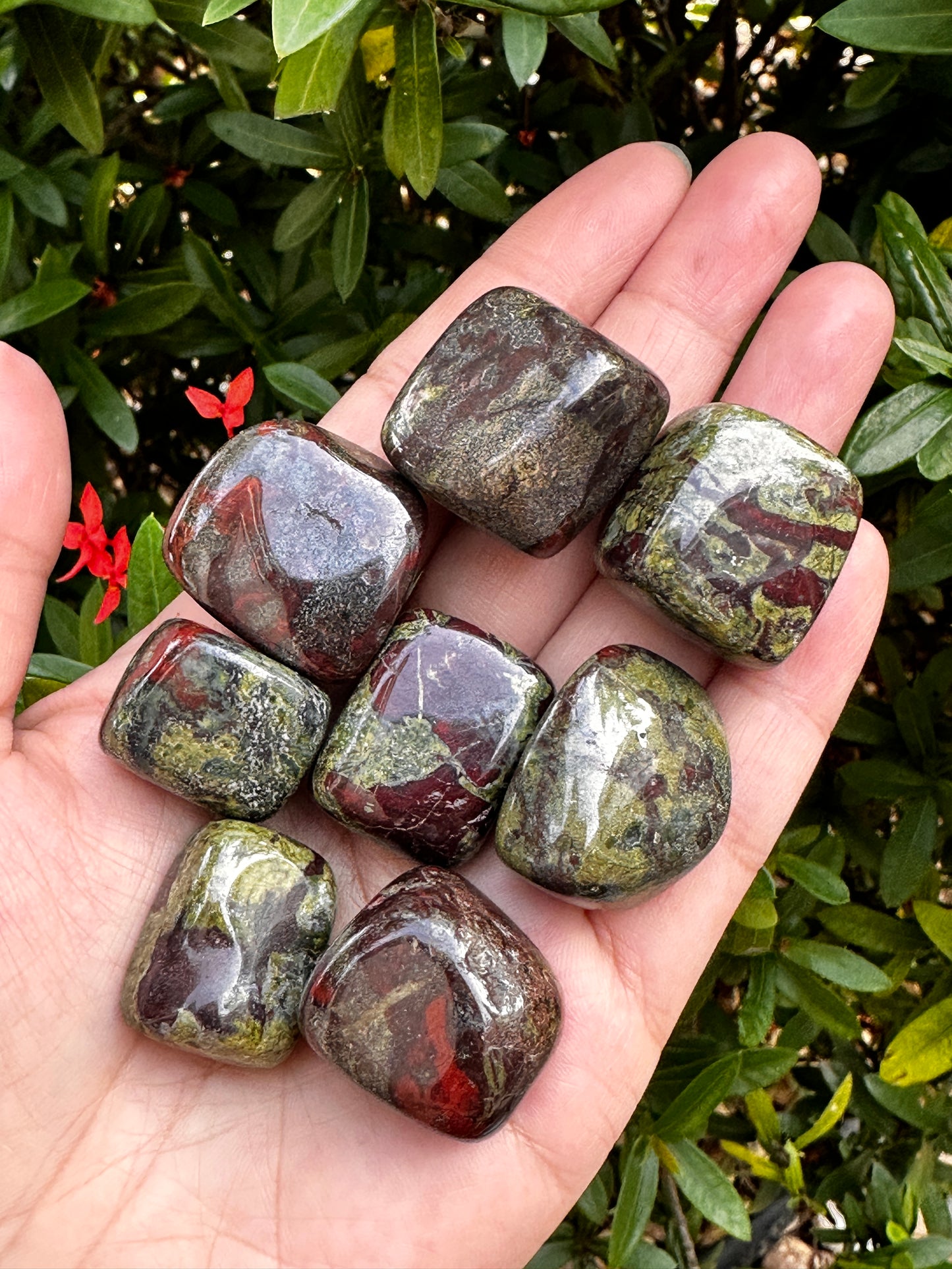 Grade A++Dragon Blood Jasper Tumbled Stones 0.75-1.25", Pick How Many Stones