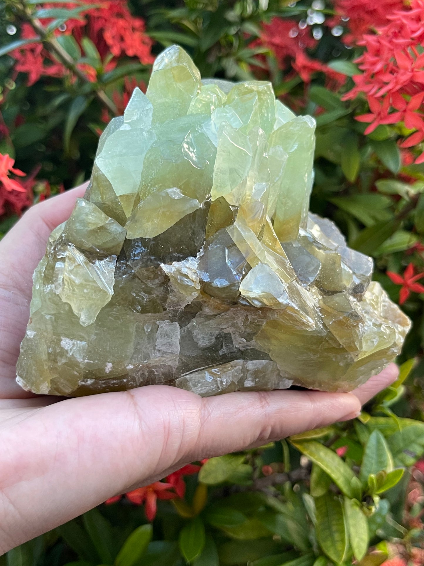 Extra Large Green Calcite Rough Stones, 2.5" - 9" Raw Calcite Green Natural