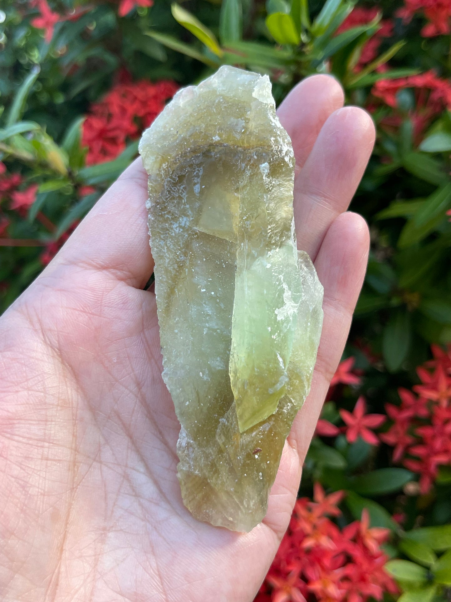 Extra Large Green Calcite Rough Stones, 2.5" - 9" Raw Calcite Green Natural