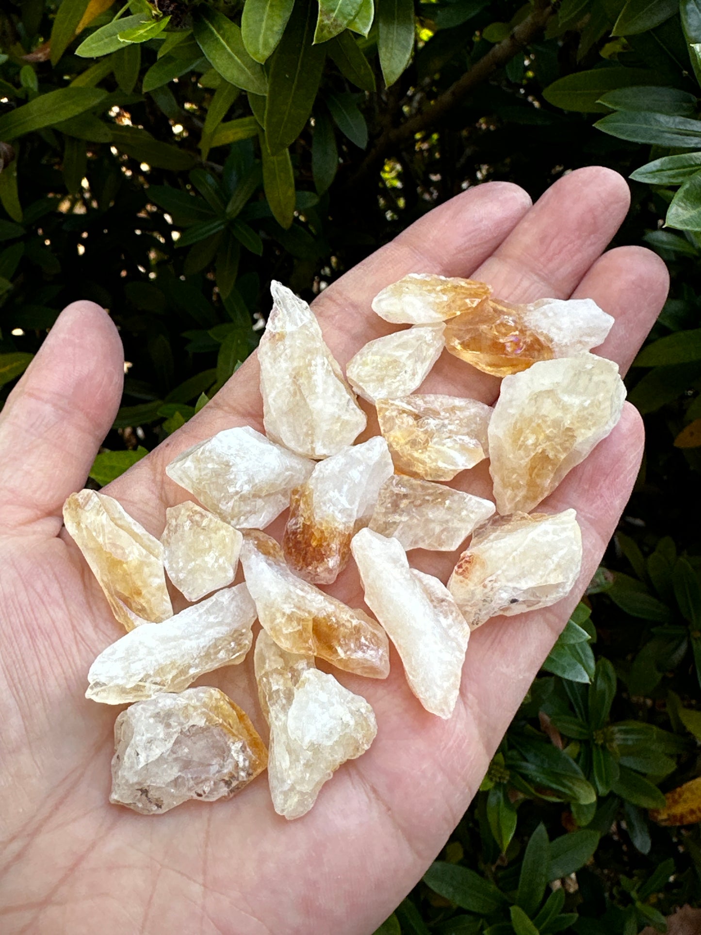 Brazilian Rough Citrine Point / Stone, Raw Healing Crystals Wholesale Bulk Lot