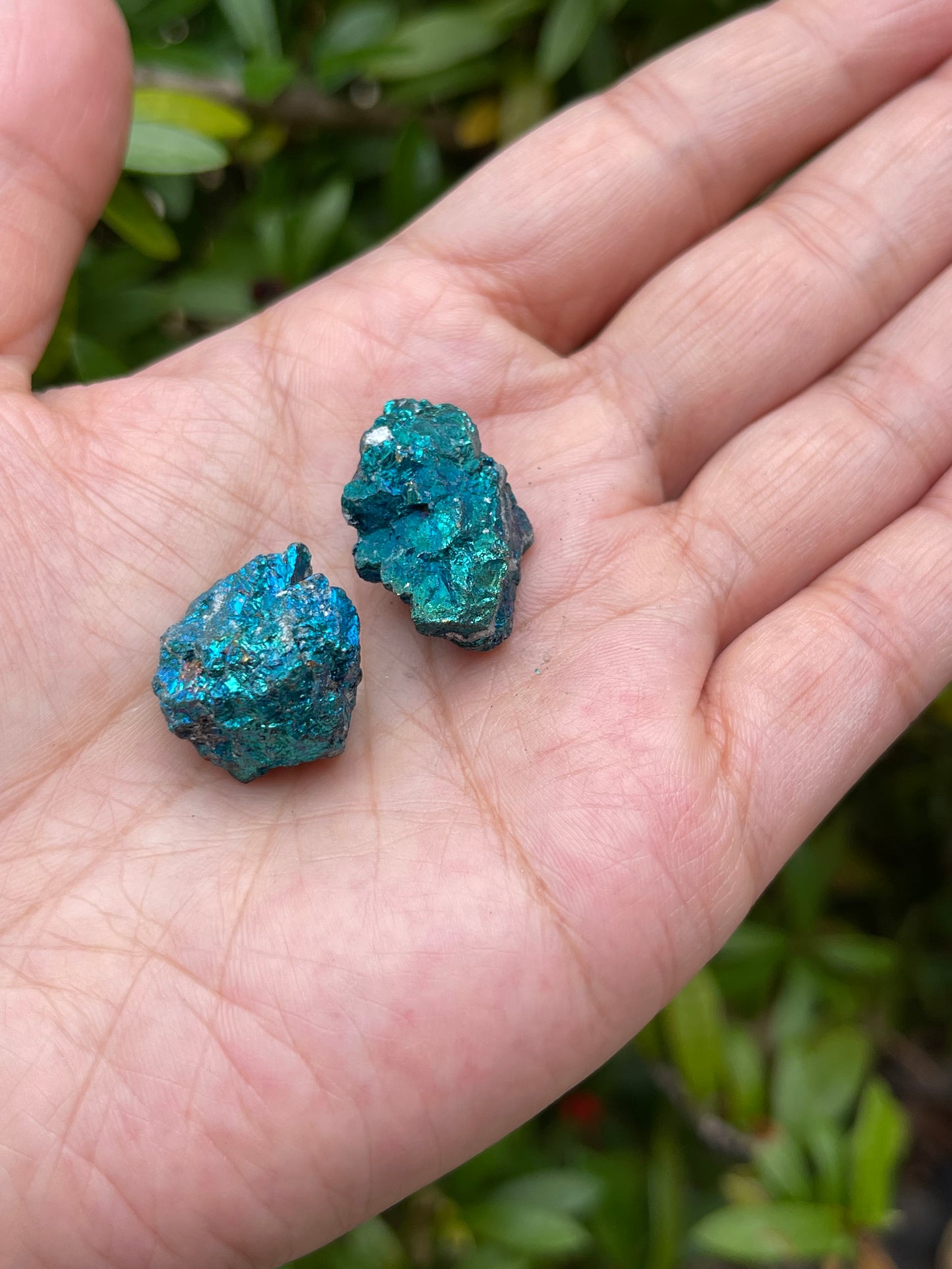 Grade A++ Small Chalcopyrite Natural Stone, Raw Peacock Ore, Wholesale Bulk Lot