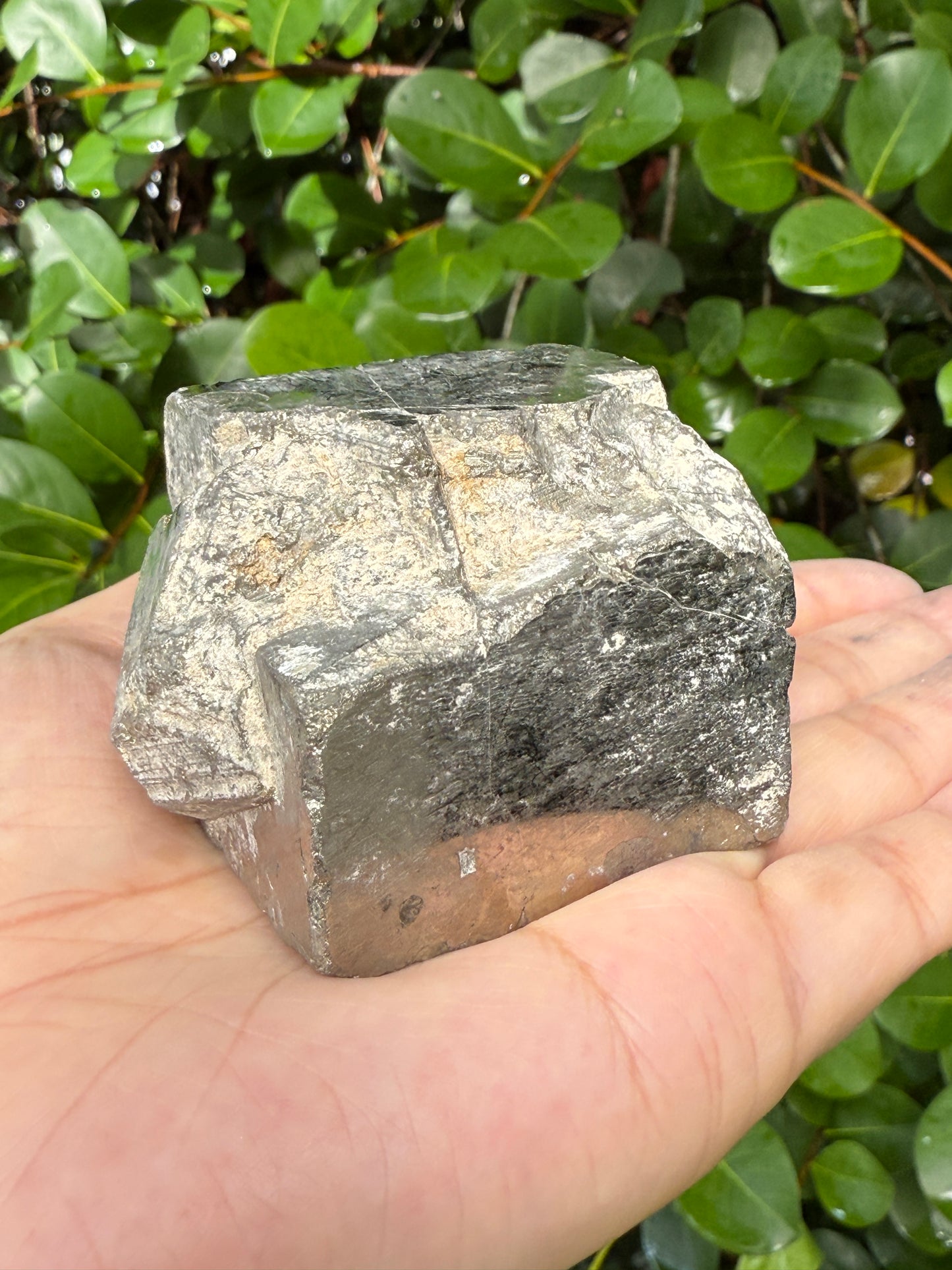 XL Raw Stones 0.5-1 lb, 3-4" Natural Crystals – Choose from 20+ Types