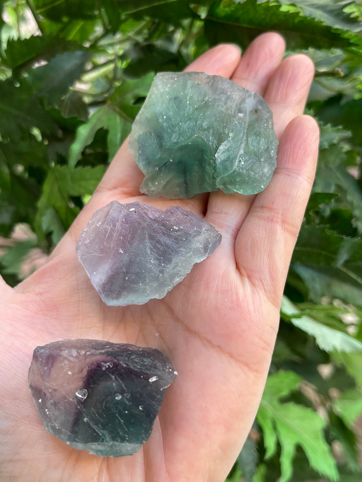 Grade A++ Fluorite Raw Natural Stone, 1-2" Rough Rainbow Fluorite Gemstone