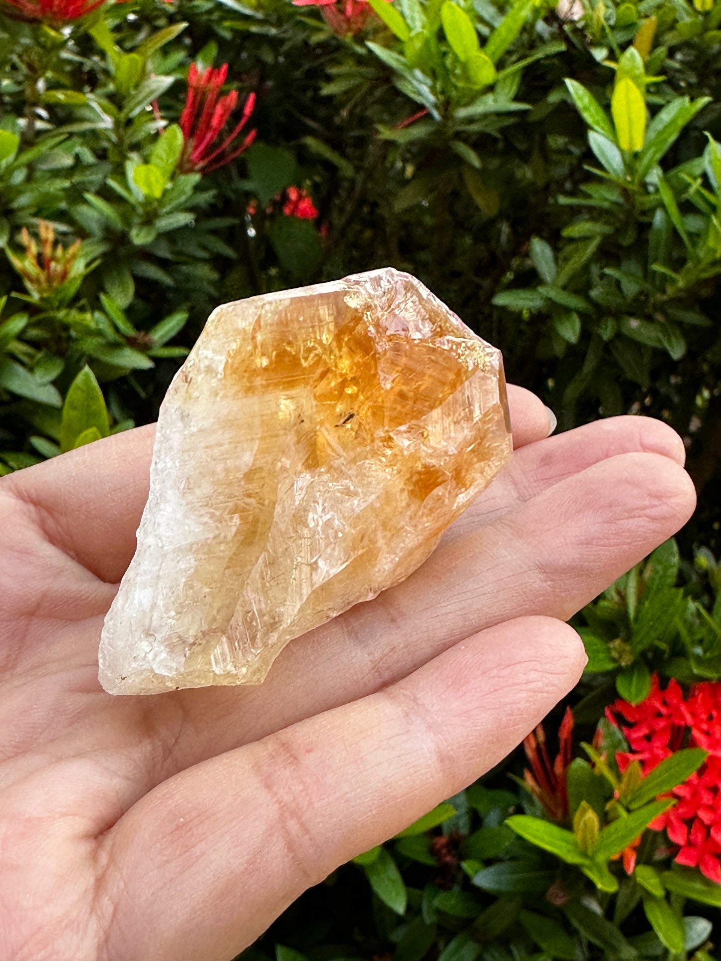 Extra Large Natural Citrine Point - Healing Crystal 2-3" | Citrine Point for Energy & Wellness
