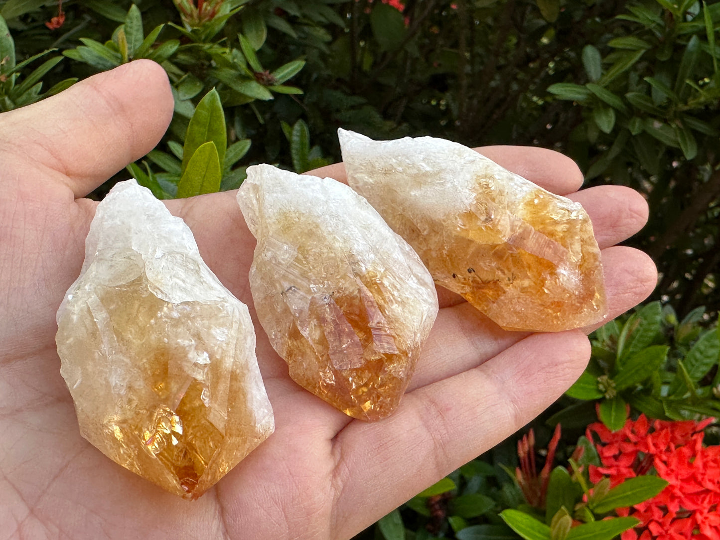 Extra Large Natural Citrine Point - Healing Crystal 2-3" | Citrine Point for Energy & Wellness