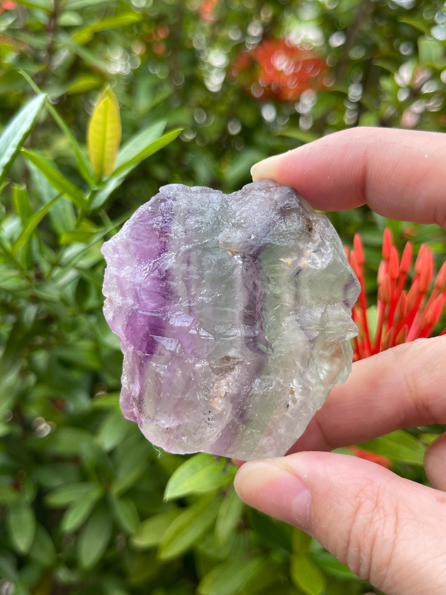 Grade A+ Large Fluorite Raw Natural Stone (4–6 oz) — Wholesale Bulk Crystals for Crafts, Healing, Décor
