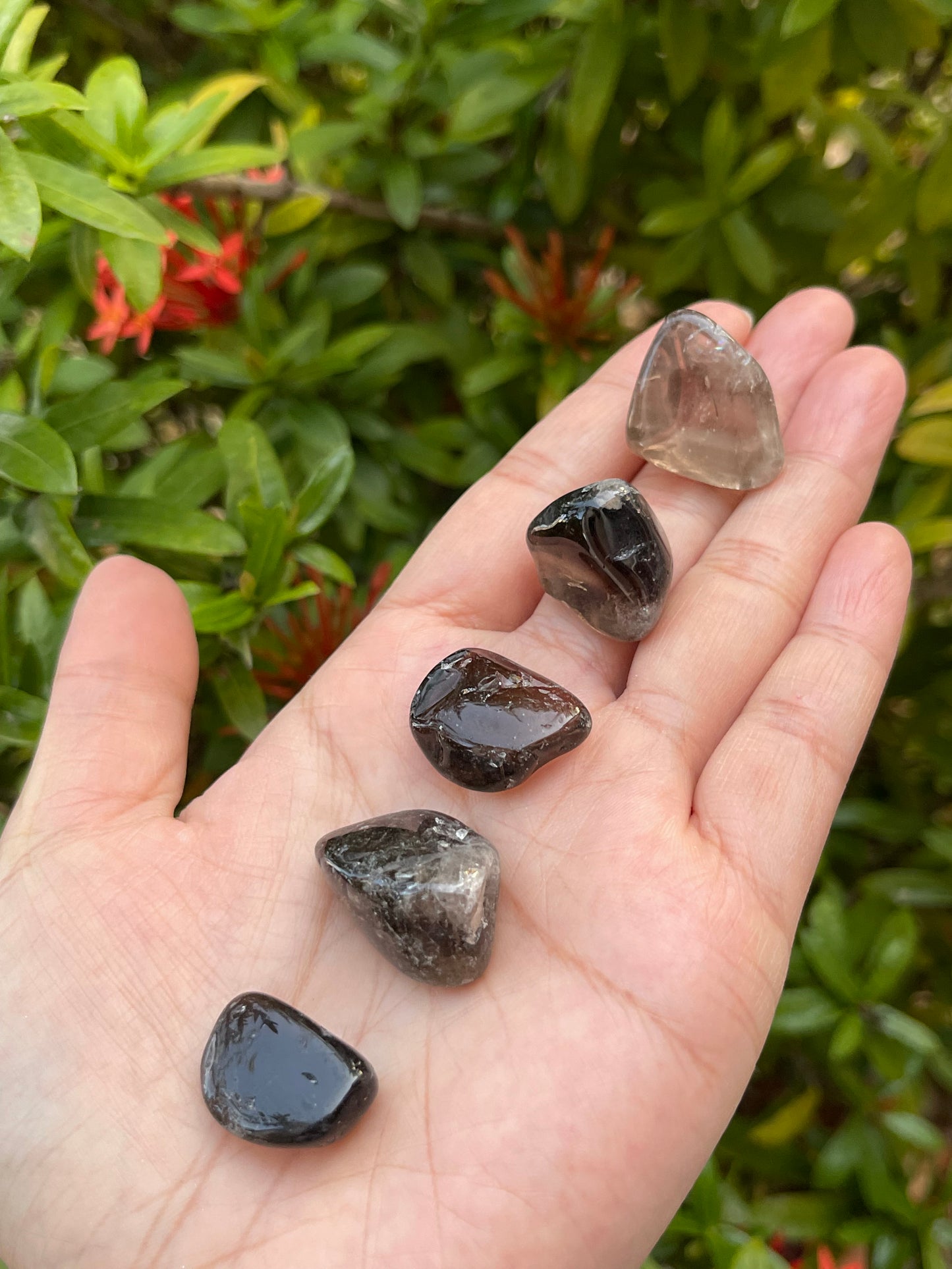 1/2 Lb Lot Tumbled Stones, 0.75-1.25" Crystal Healing Stones, Choose Stone Type