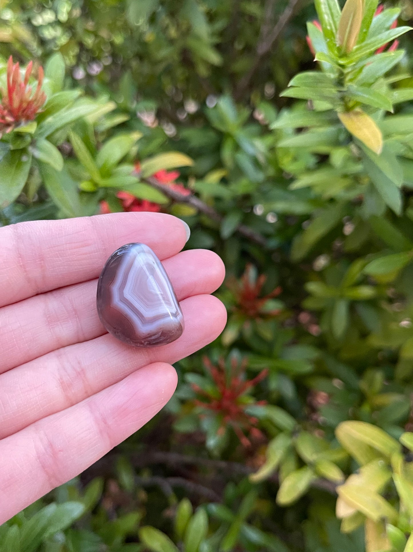 Grade A++ Botswana Agate Tumbled Stones 0.75-1 Inch, Wholesale Bulk Lot