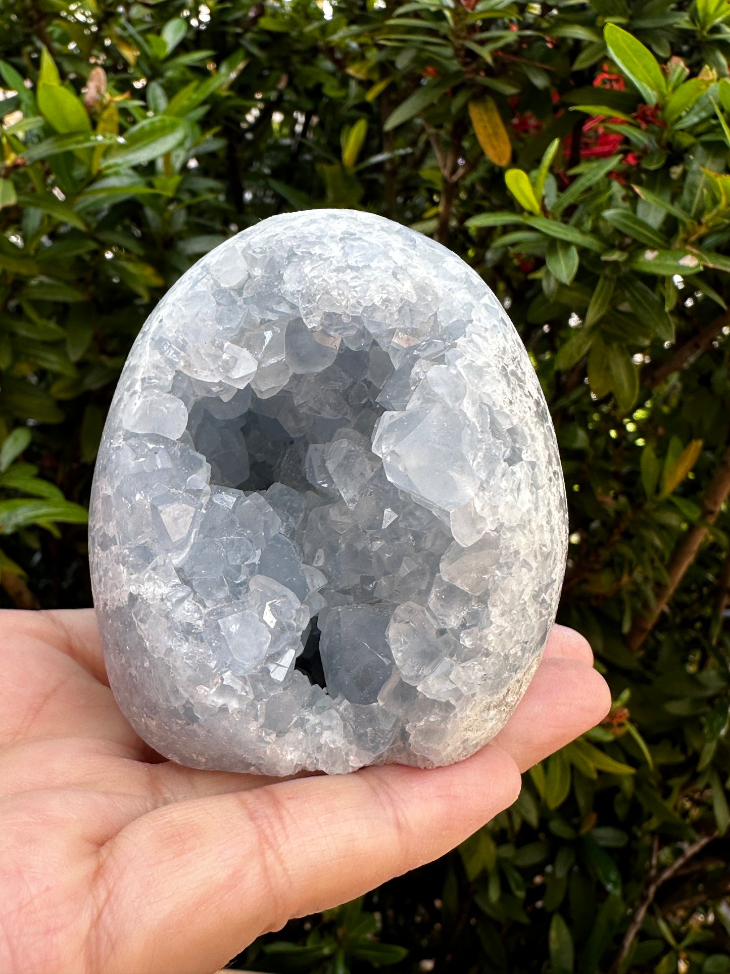Polished Celestite Cluster, Celestite Geode Free Shape w. Druse, Standing Celestite Healing Crystal 2-3.5", Pick a Weight