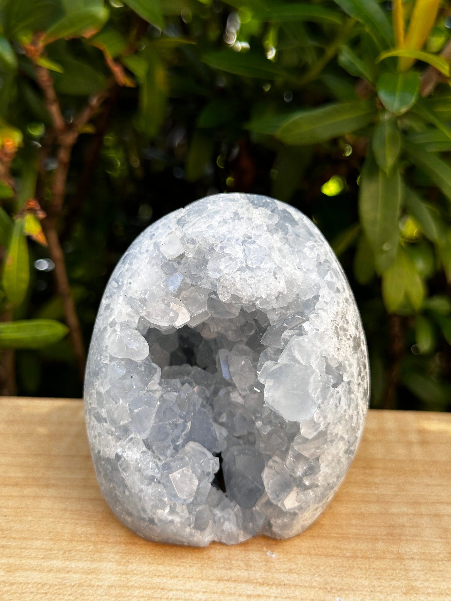 Polished Celestite Cluster, Celestite Geode Free Shape w. Druse, Standing Celestite Healing Crystal 2-3.5", Pick a Weight