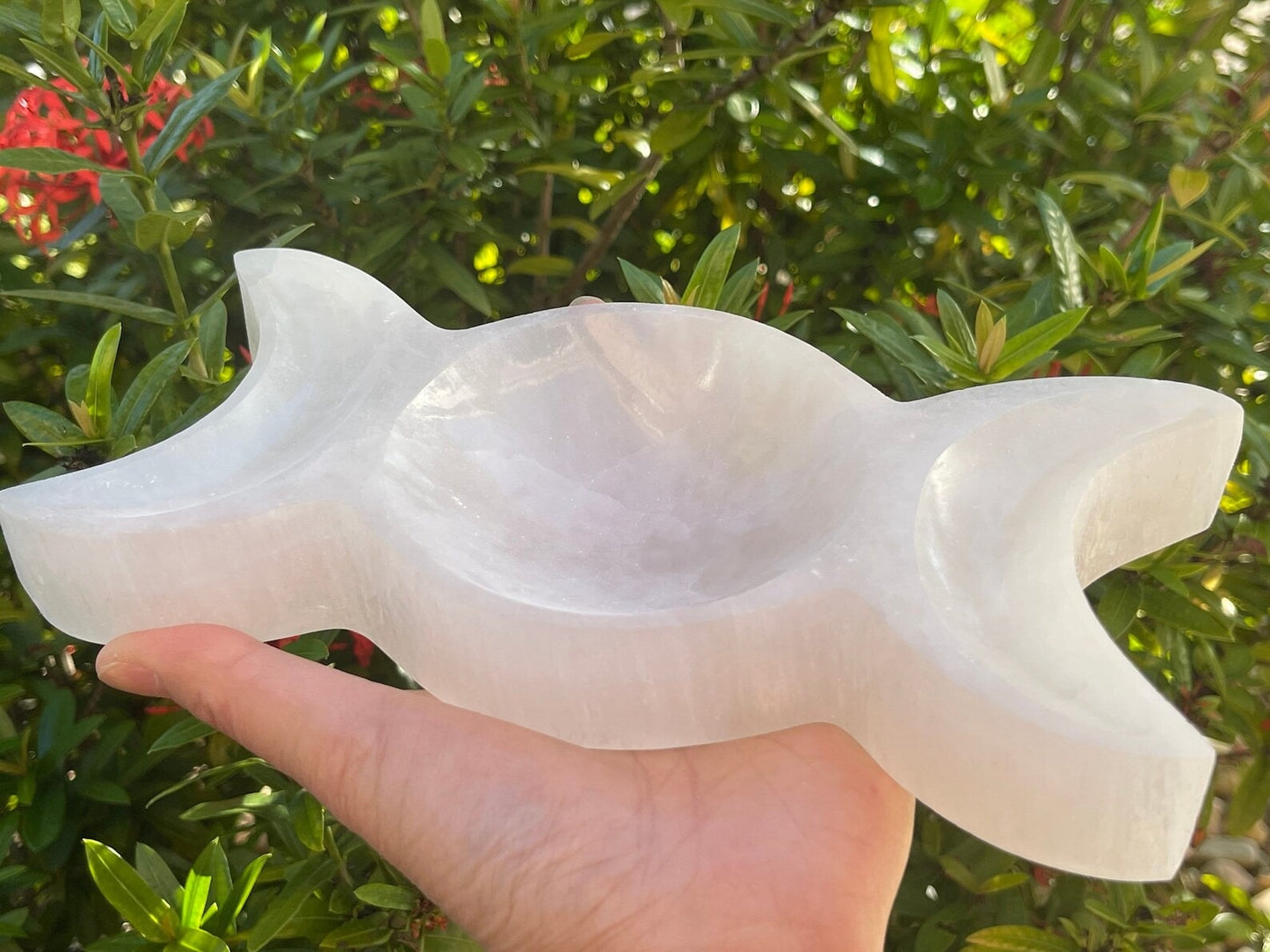 8" Jumbo Selenite Charging Bowl – Choose Your Shape: Round, Heart, Star, Triple Moon