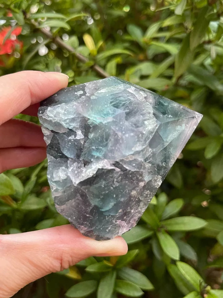 Standing Rainbow Fluorite Point – Semi Top Polished with Rough Body | Natural Multicolor Crystal Tower