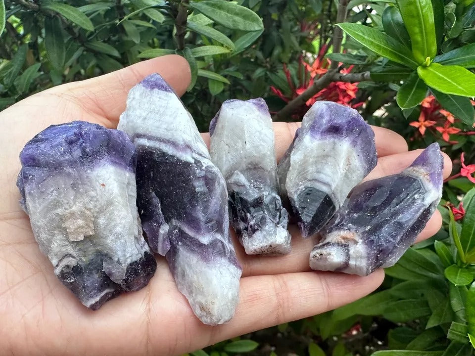 Grade A++ Chevron Amethyst Rough Stones, 2.5" - 4" Natural Chevron Amethyst Point