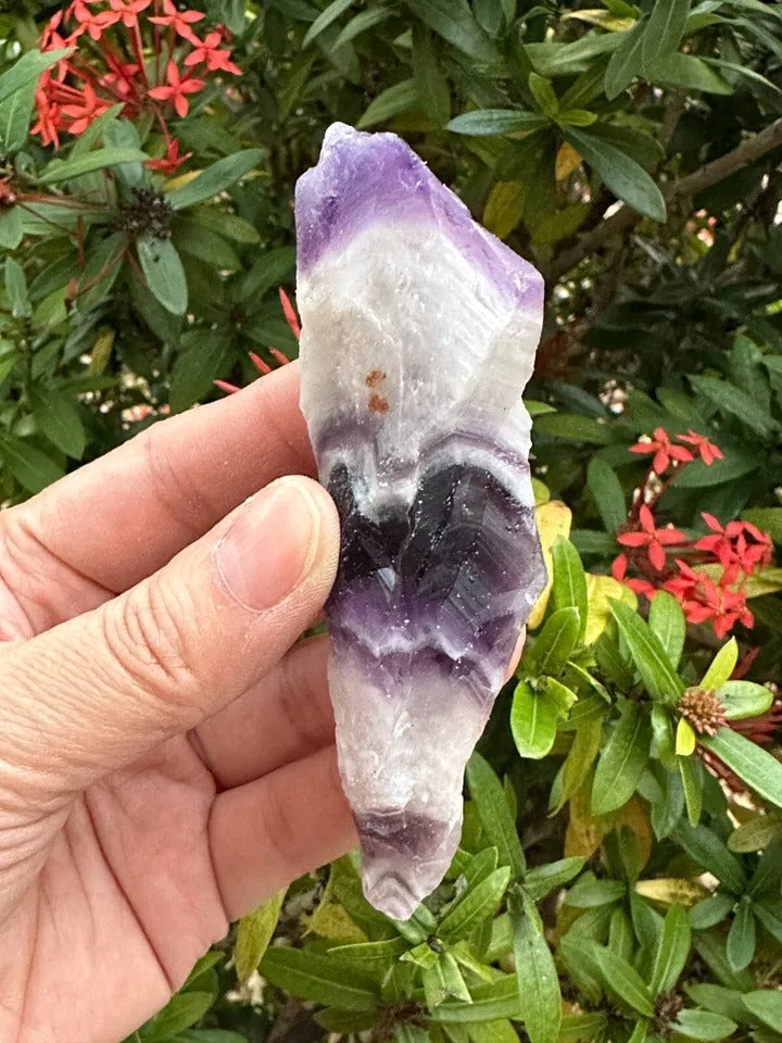 Grade A++ Chevron Amethyst Rough Stones, 2.5" - 4" Natural Chevron Amethyst Point