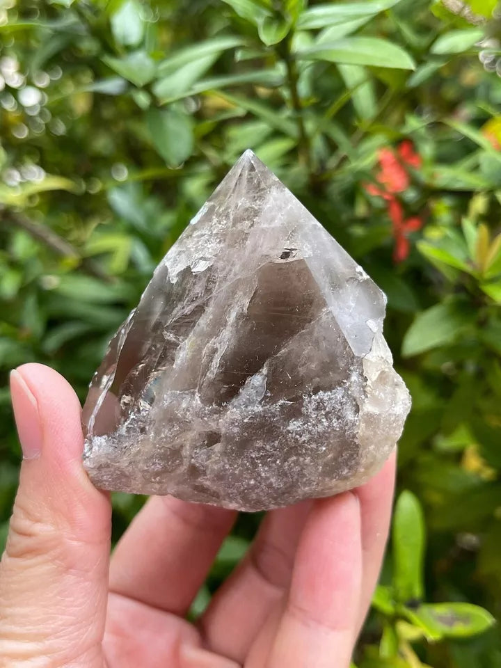 Smoky Quartz Top Polished Rough Point — Standing Smoky Quartz Crystal with Cut Base