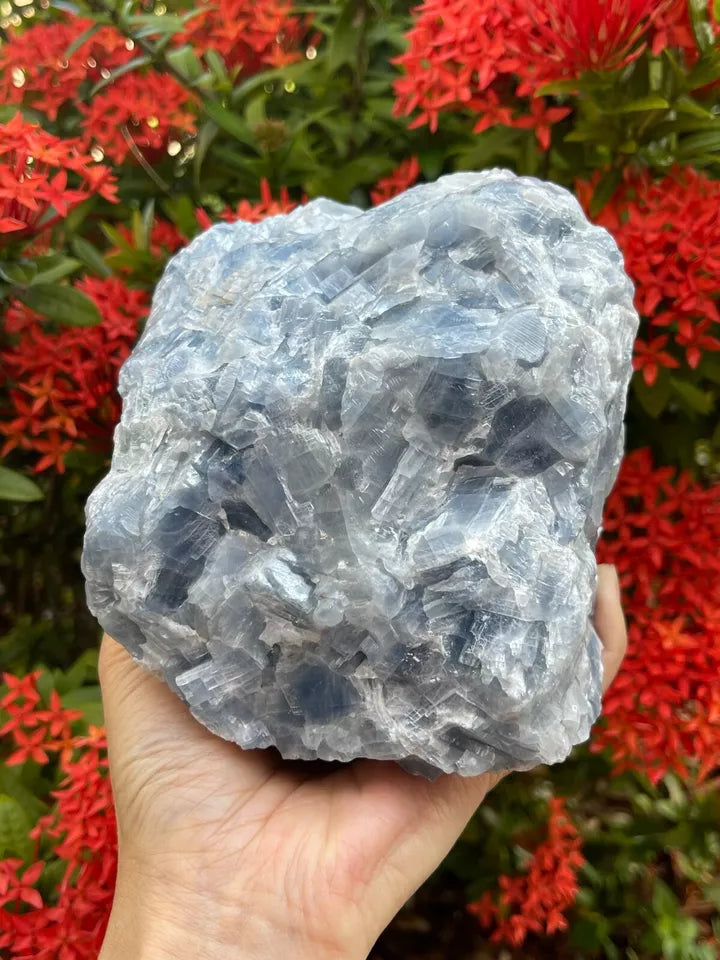 Jumbo Blue Calcite Rough Stones, 2.5" - 7" Massive Raw Calcite Orange Natural
