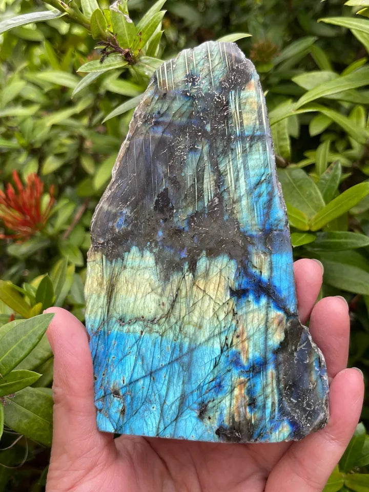 XL Natural Labradorite Slab – High Flash Free Standing Display Specimen | Pick Your Weight