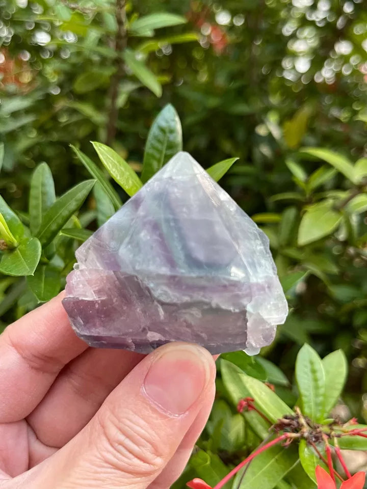 Standing Rainbow Fluorite Point – Semi Top Polished with Rough Body | Natural Multicolor Crystal Tower