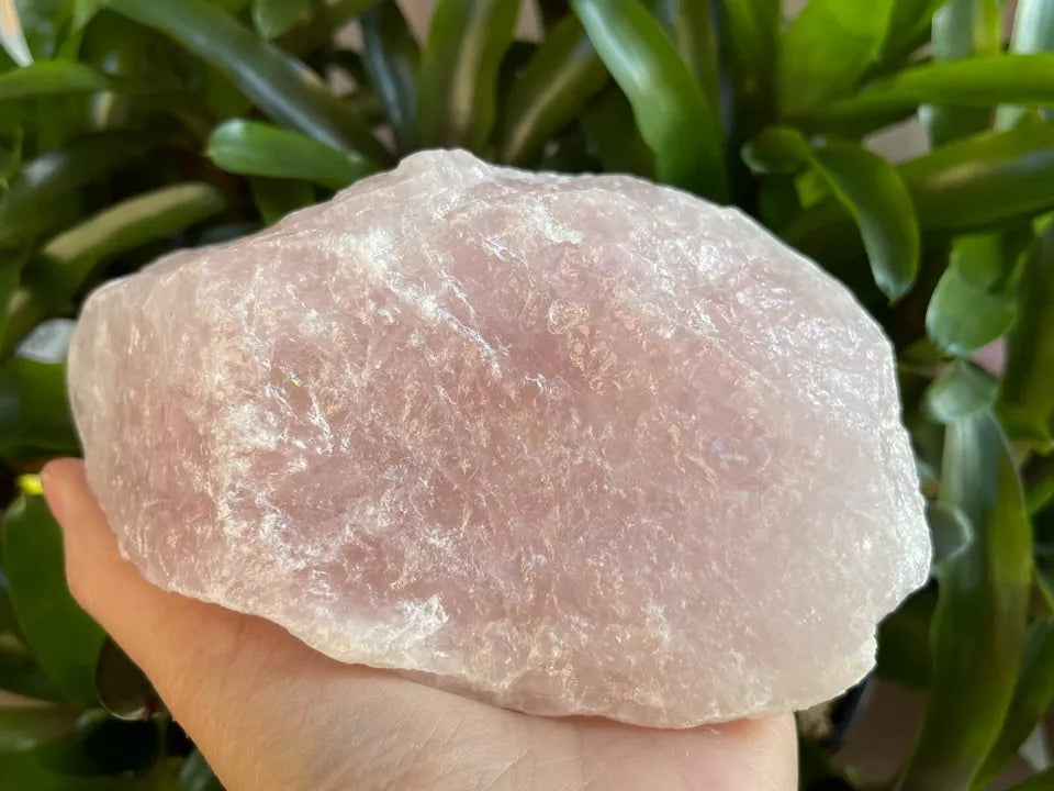 Large Rose Quartz Rough Natural Stones, 2.5"-6" Raw Rose Quartz, Pick A Weight 4 oz to 4 lbs