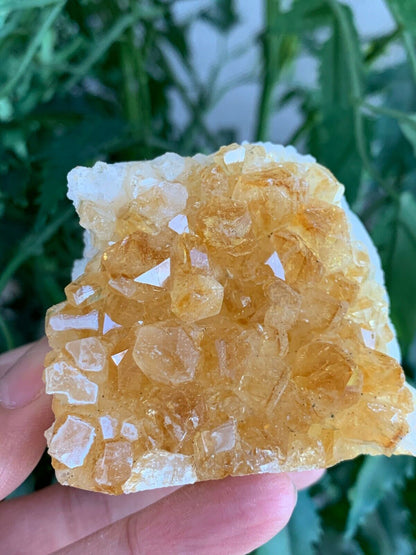 Citrine Clusters With Cut Base, Honey Citrine Quartz Cluster, Pick A Size