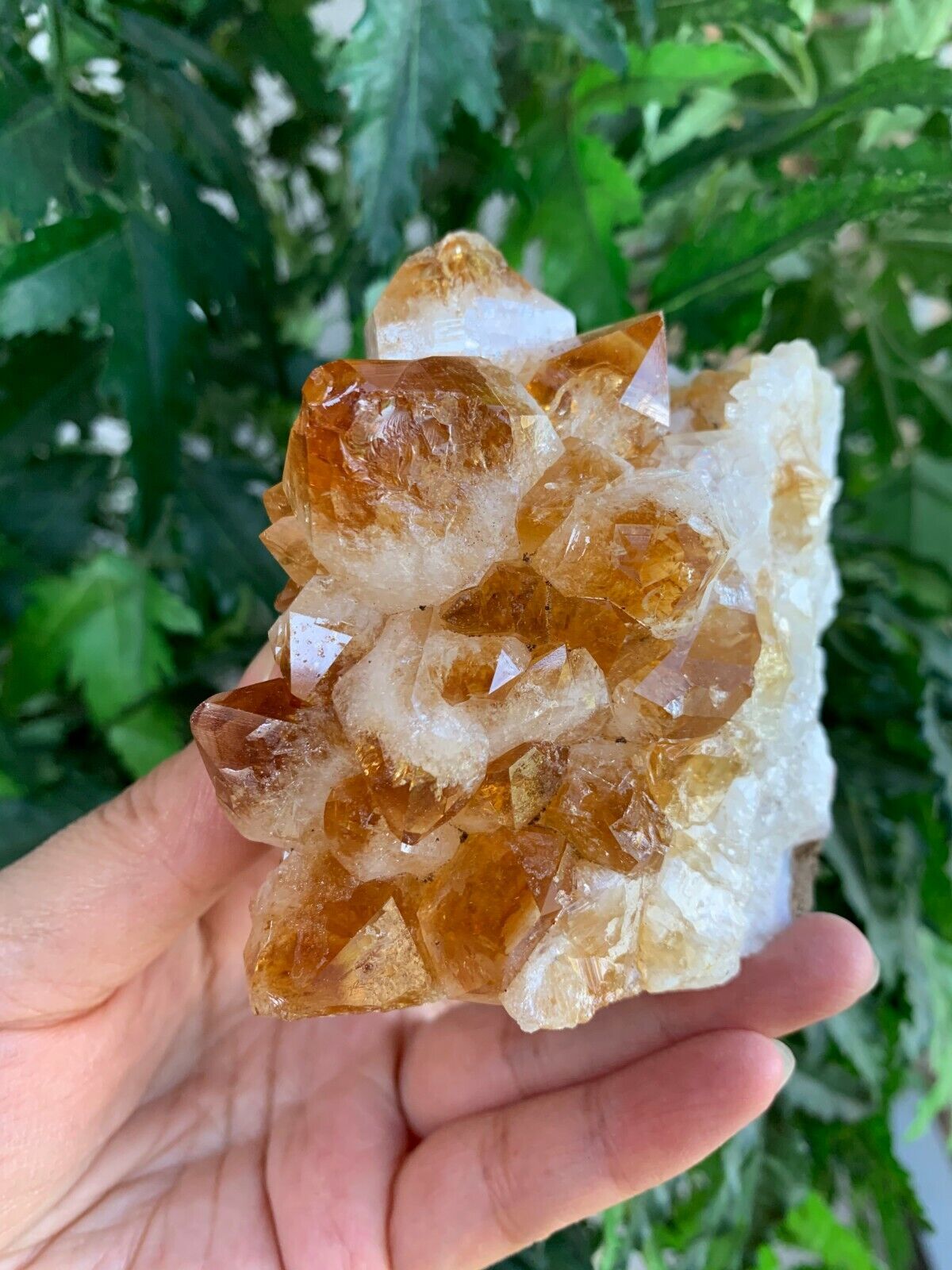 Citrine Clusters With Cut Base, Honey Citrine Quartz Cluster, Pick A Size