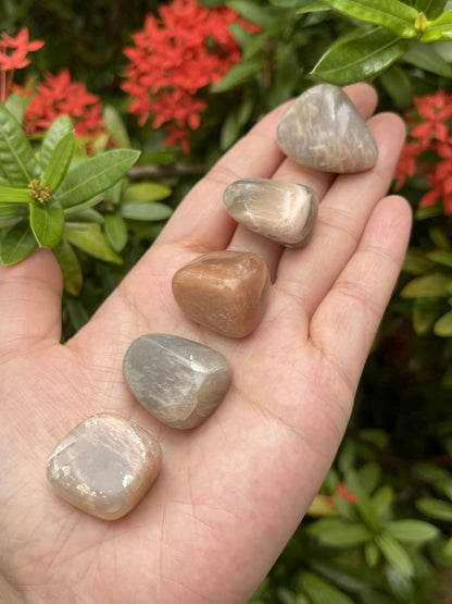 5 Pieces Tumbled Stones, Choose From 69 Typle Gemstones, Polished Stones