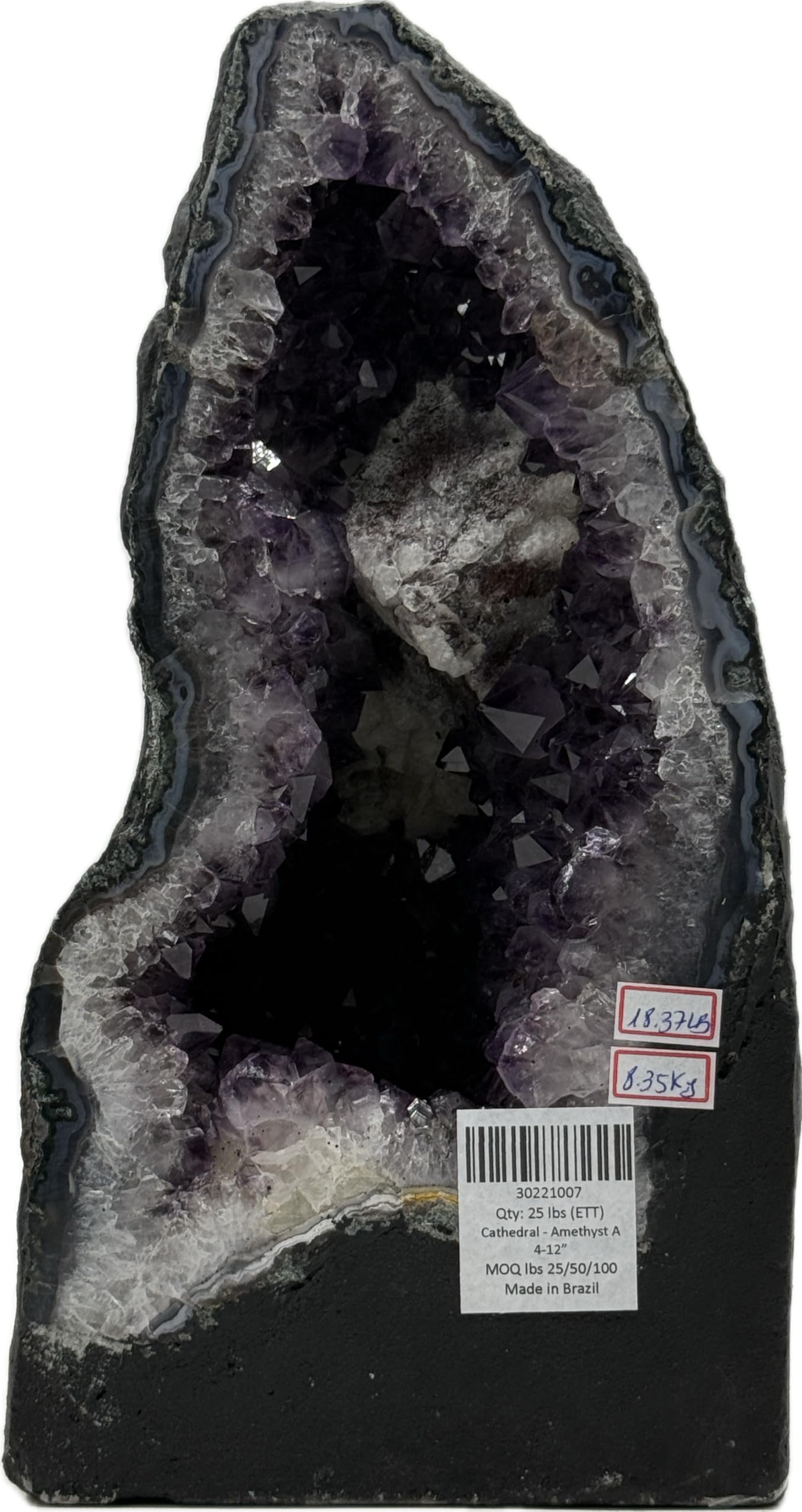 Image #8