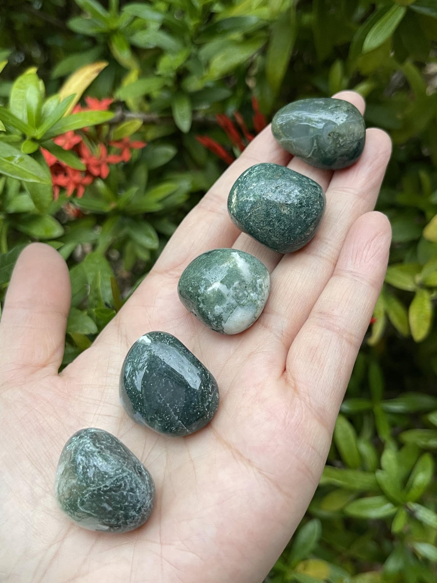 5 Pieces Tumbled Stones, Choose From 69 Typle Gemstones, Polished Stones