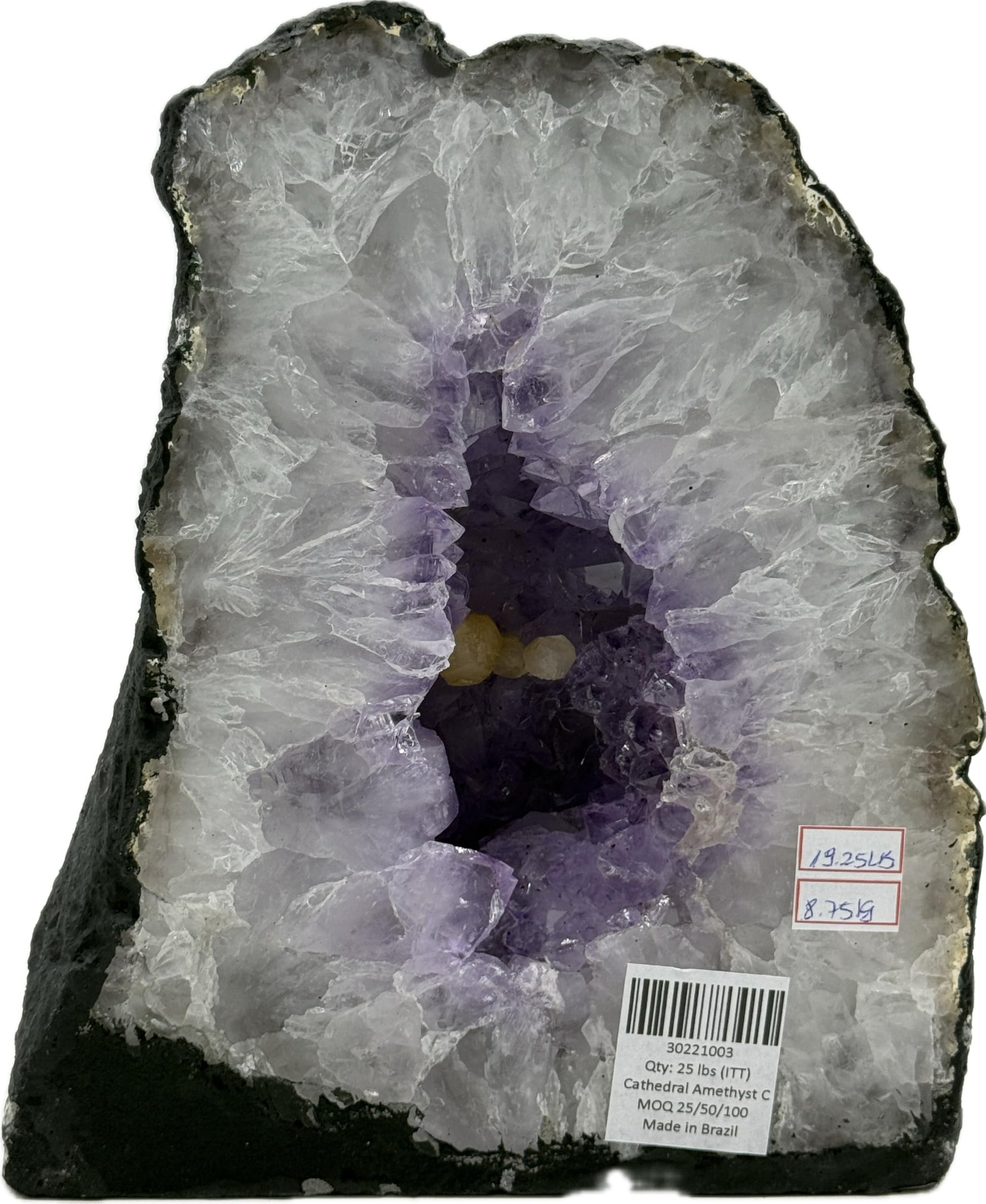 Image #11