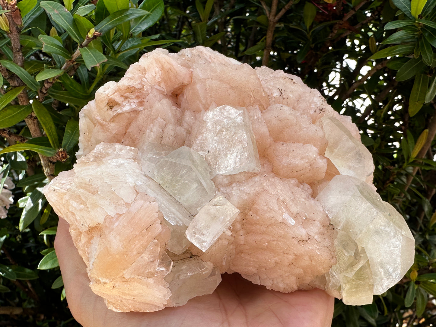 Large Apophyllite & Stilbite Crystal Cluster 3-8", Natural Apophyllite Cluster with Inclusions (1.5 oz - 4 lb)