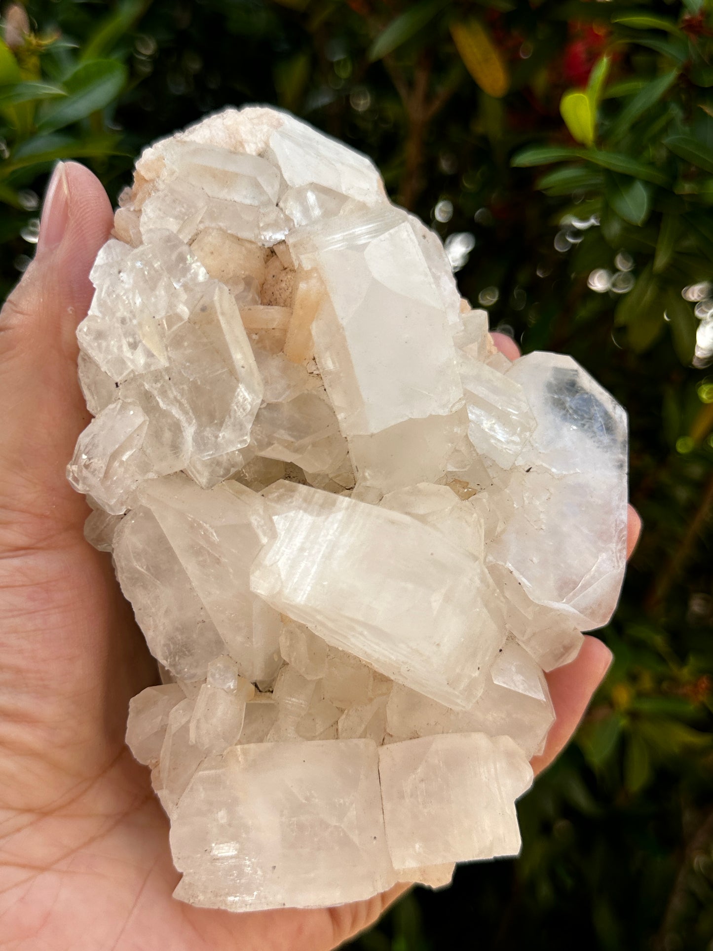 Large Apophyllite & Stilbite Crystal Cluster 3-8", Natural Apophyllite Cluster with Inclusions (1.5 oz - 4 lb)