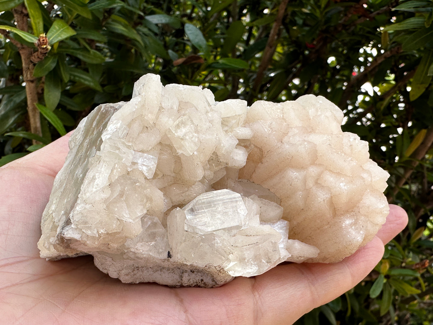 Large Apophyllite & Stilbite Crystal Cluster 3-8", Natural Apophyllite Cluster with Inclusions (1.5 oz - 4 lb)