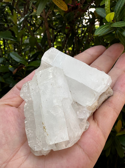 Large Apophyllite & Stilbite Crystal Cluster 3-8", Natural Apophyllite Cluster with Inclusions (1.5 oz - 4 lb)