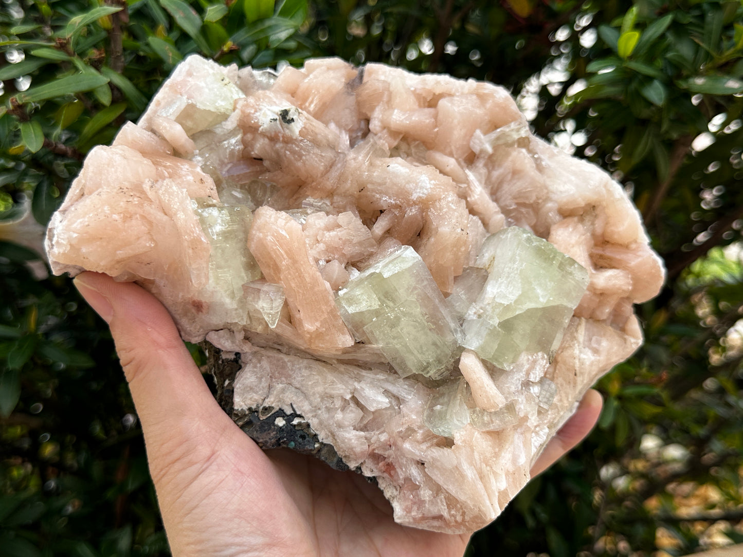 Large Apophyllite & Stilbite Crystal Cluster 3-8", Natural Apophyllite Cluster with Inclusions (1.5 oz - 4 lb)