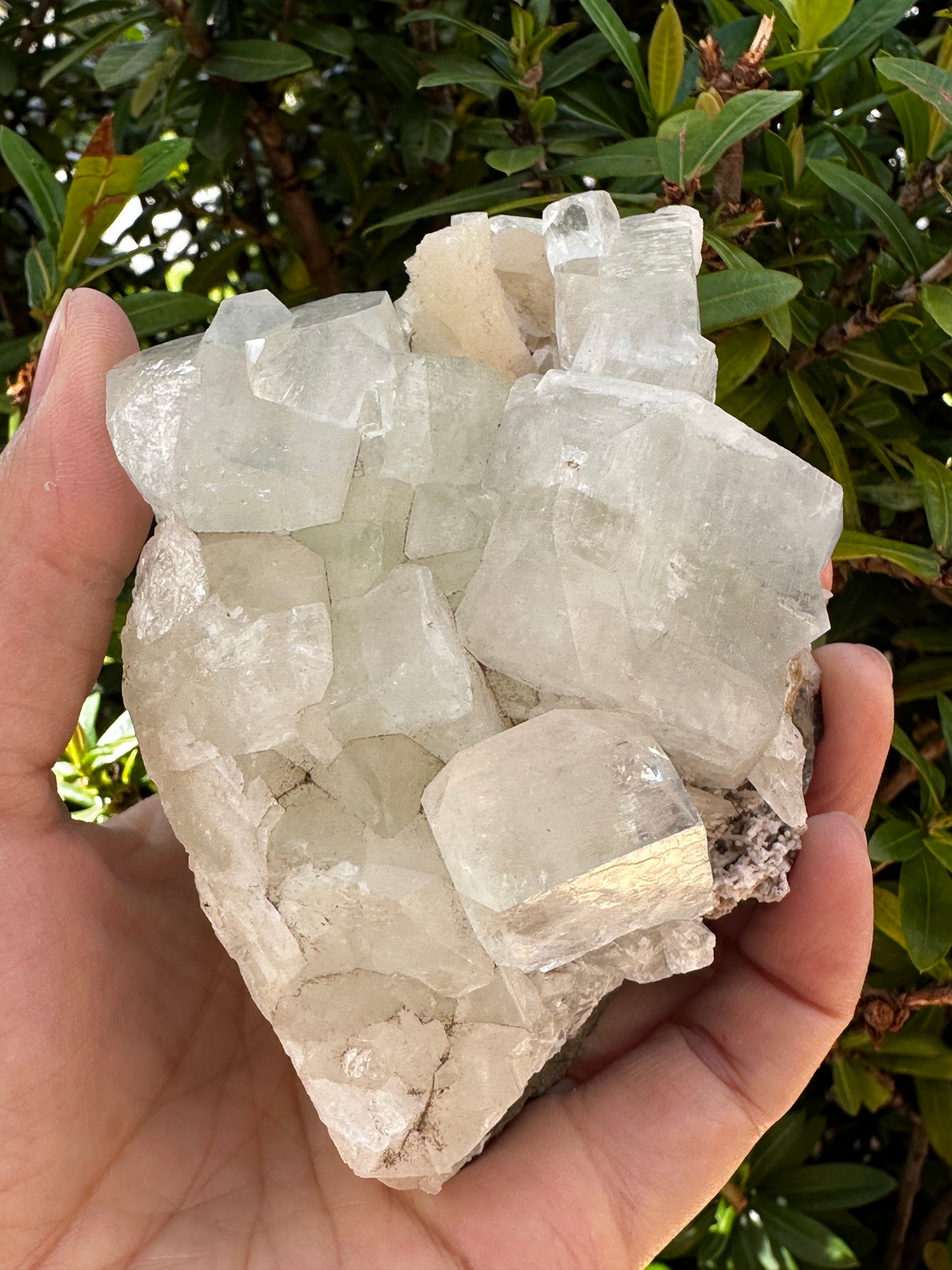 Large Apophyllite & Stilbite Crystal Cluster 3-8", Natural Apophyllite Cluster with Inclusions (1.5 oz - 4 lb)