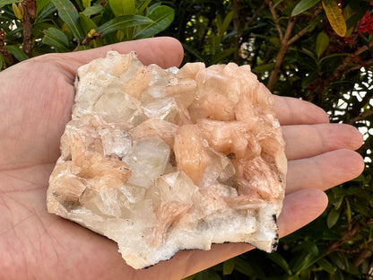 Large Apophyllite & Stilbite Crystal Cluster 3-8", Natural Apophyllite Cluster with Inclusions (1.5 oz - 4 lb)