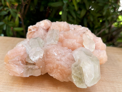 Large Apophyllite & Stilbite Crystal Cluster 3-8", Natural Apophyllite Cluster with Inclusions (1.5 oz - 4 lb)