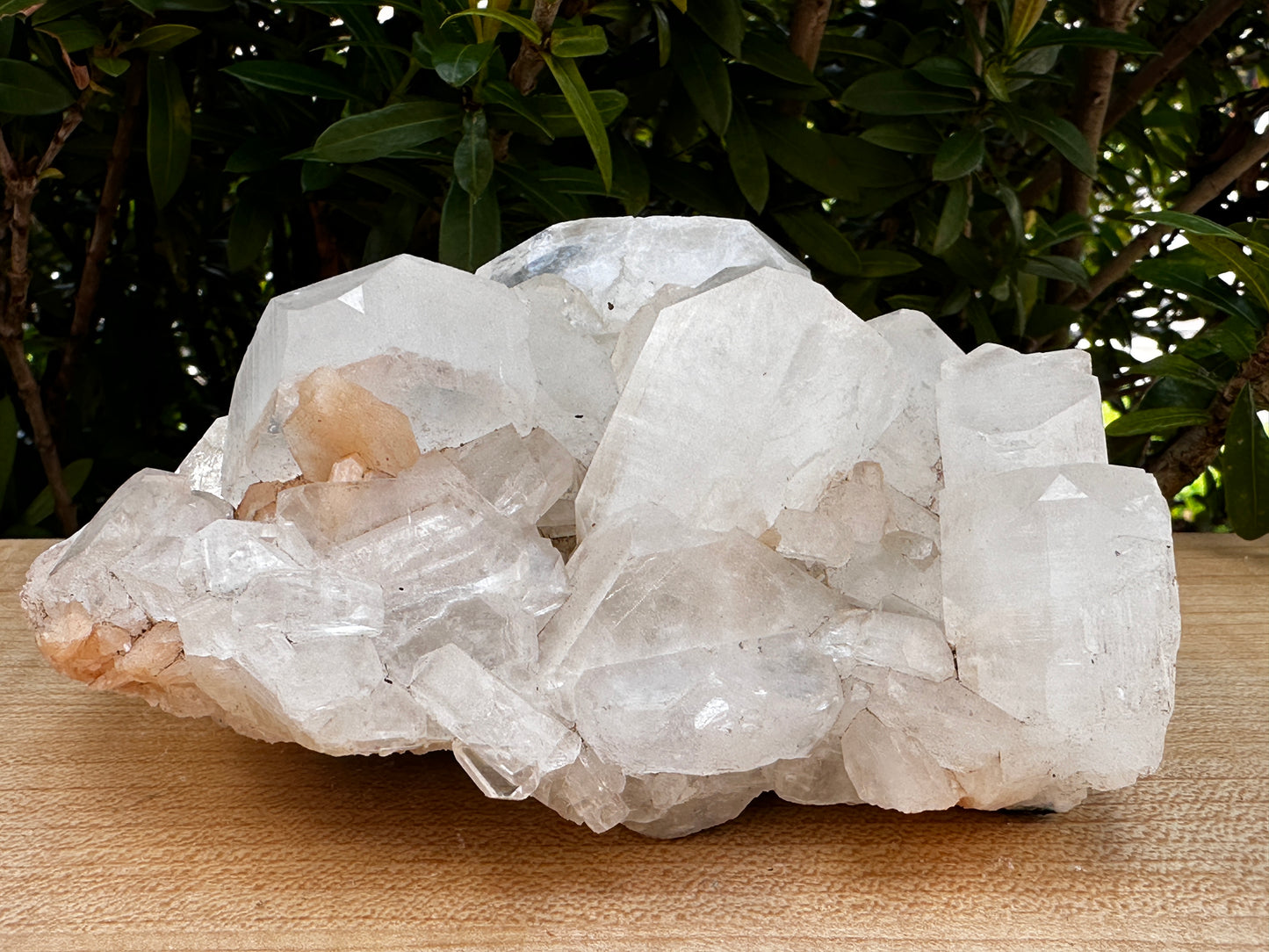 Large Apophyllite & Stilbite Crystal Cluster 3-8", Natural Apophyllite Cluster with Inclusions (1.5 oz - 4 lb)