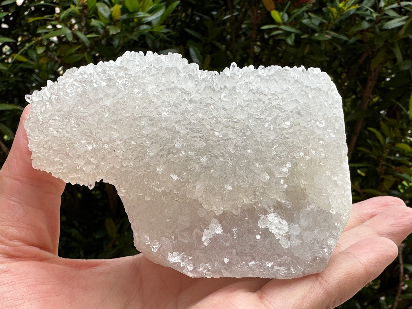 Chalcedony & Crystal Quartz Stalactite 3-8", Natural Quartz on Chalcedony Stalactite Specimen (0.12lb - 4 lb)