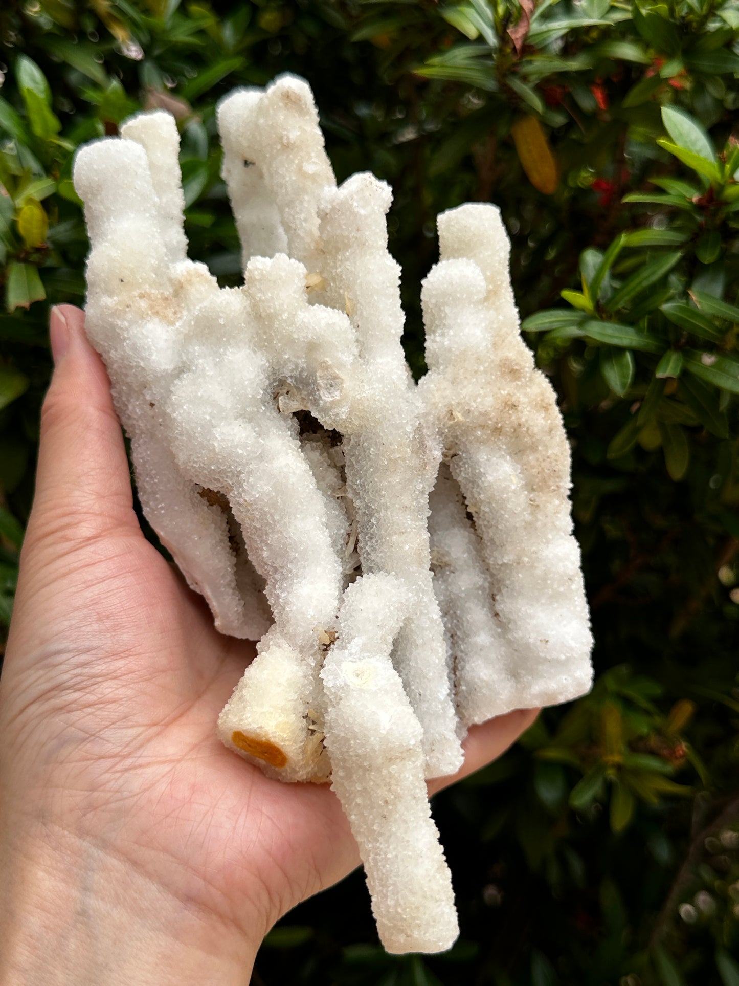 Chalcedony & Crystal Quartz Stalactite 3-8", Natural Quartz on Chalcedony Stalactite Specimen (0.12lb - 4 lb)