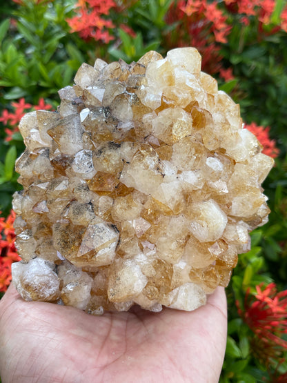 Citrine Clusters With Cut Base, Honey Citrine Quartz Cluster, Pick A Size