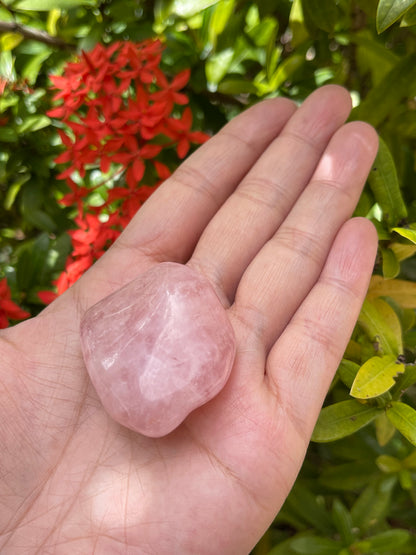 Rose Quartz Pebble, 1.25-2 Inch Large Tumbled Rose Quartz Stones, Pick How Many