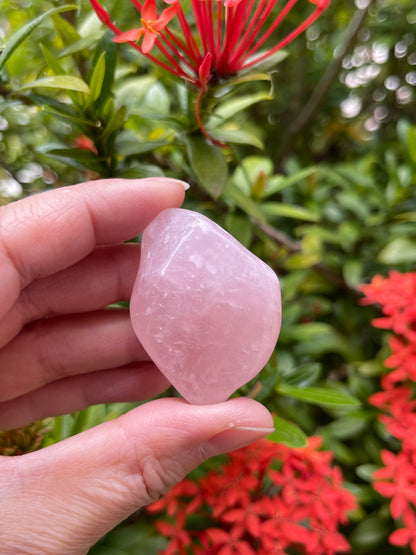 Rose Quartz Pebble, 1.25-2 Inch Large Tumbled Rose Quartz Stones, Wholesale Bulk Lot