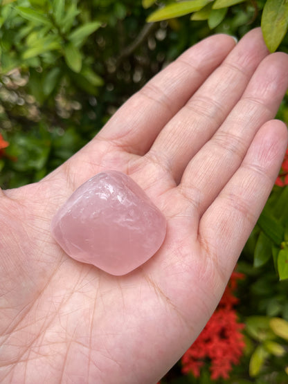 Rose Quartz Pebble, 1.25-2 Inch Large Tumbled Rose Quartz Stones, Wholesale Bulk Lot
