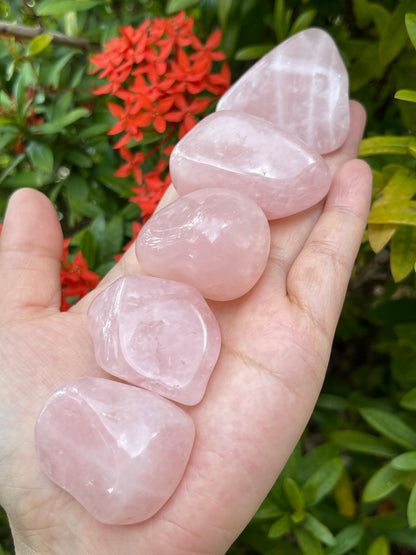 Rose Quartz Pebble, 1.25-2 Inch Large Tumbled Rose Quartz Stones, Wholesale Bulk Lot