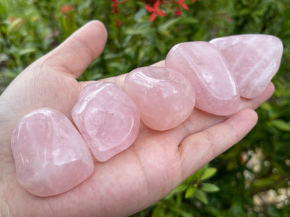 Rose Quartz Pebble, 1.25-2 Inch Large Tumbled Rose Quartz Stones, Wholesale Bulk Lot