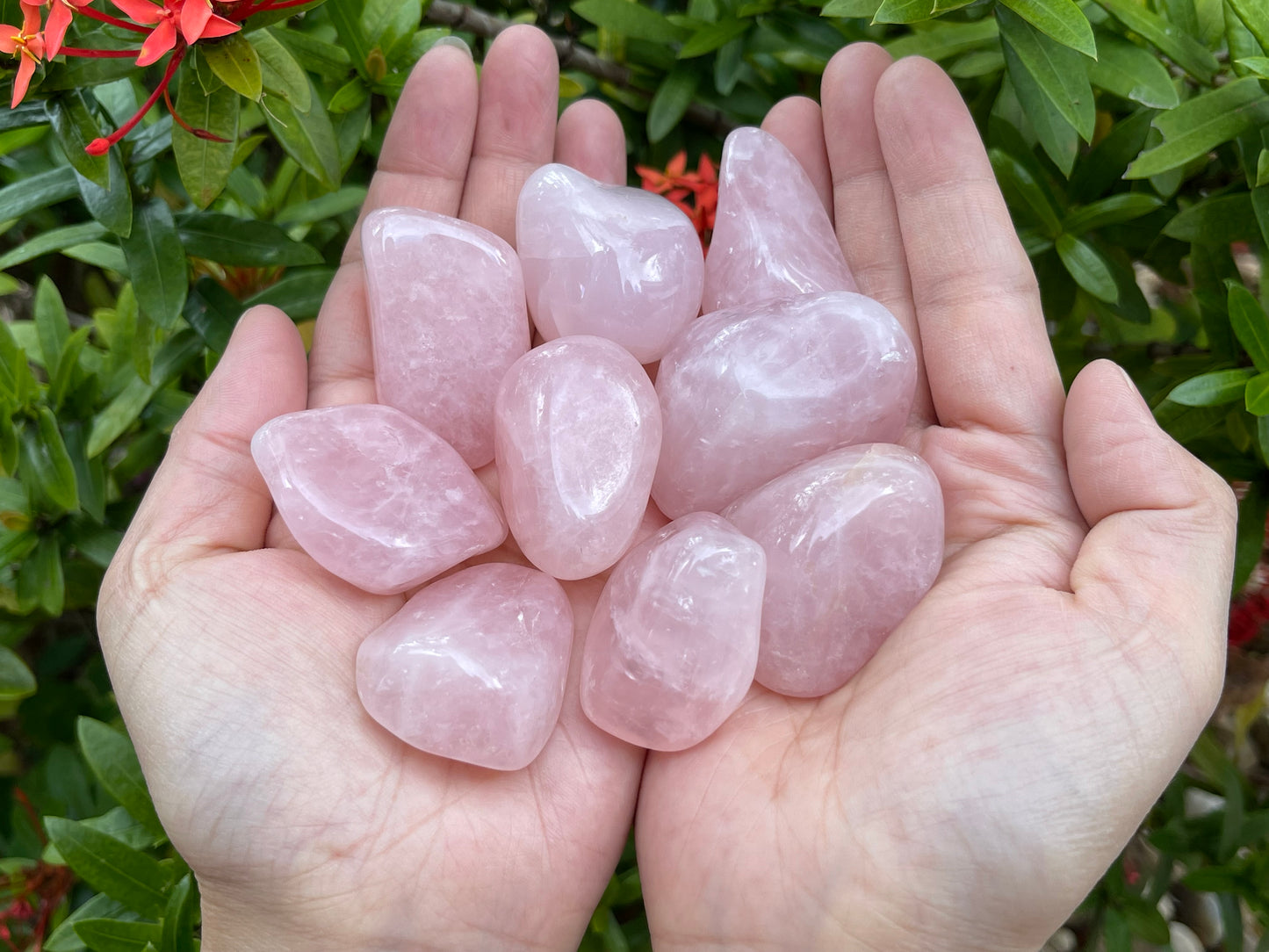 Rose Quartz Pebble, 1.25-2 Inch Large Tumbled Rose Quartz Stones, Pick How Many
