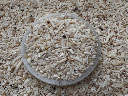 White Bamboo Coral Chips Semi Tumbled Gemstone, 2 - 9 mm, Wholesale Bulk Lot